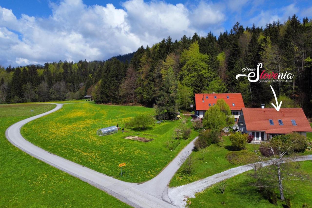 Ubytování v soukromí Homeslovenia - Your In The Heart Of Slovenia